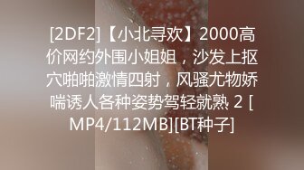 [2DF2]【小北寻欢】2000高价网约外围小姐姐，沙发上抠穴啪啪激情四射，风骚尤物娇喘诱人各种姿势驾轻就熟 2 [MP4/112MB][BT种子]