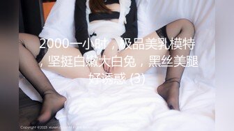 2000一小时，极品美乳模特，坚挺白嫩大白兔，黑丝美腿好诱惑 (3)