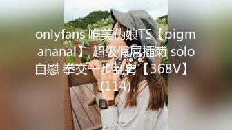 onlyfans 唯美伪娘TS【pigmananal】 超级假屌插菊 solo自慰 拳交一步到胃【368V】 (114)