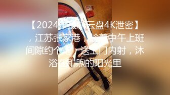 【2024年最新云盘4K泄密】，江苏张家港，趁着中午上班间隙约个炮，送上门内射，沐浴在和煦的阳光里